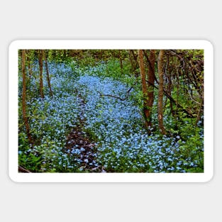Forest Forget-Me-Nots Sticker
